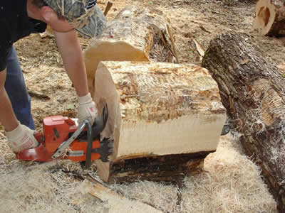 Wood Harvesting
