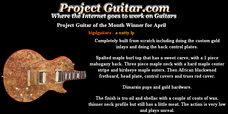 Project Guitar Winner